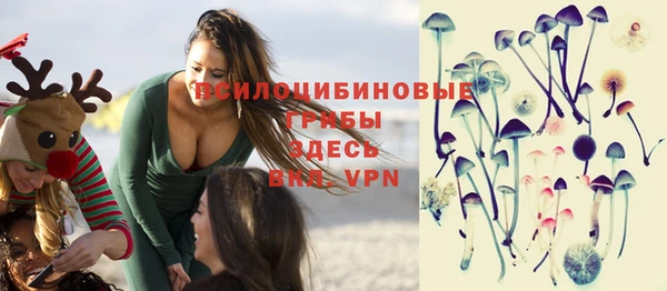тгк Балахна