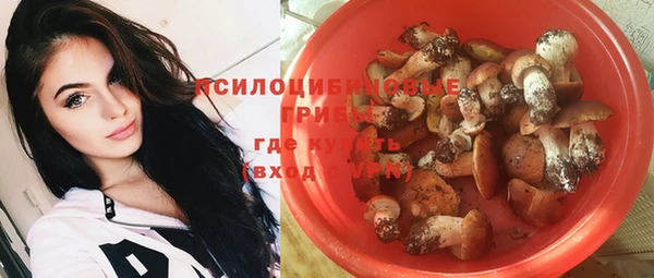 тгк Балахна