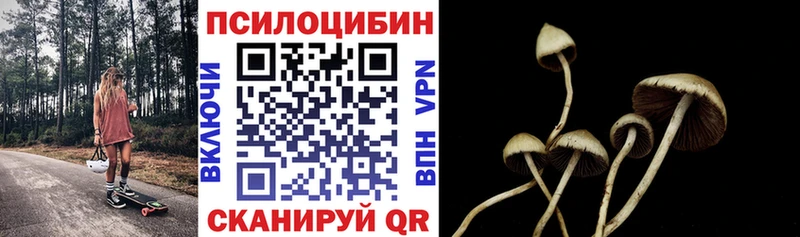 Галлюциногенные грибы мицелий  Балашов 